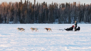 Canadian-Challenge-International-Dog-Sled-Race-2020;Clayton-Perry