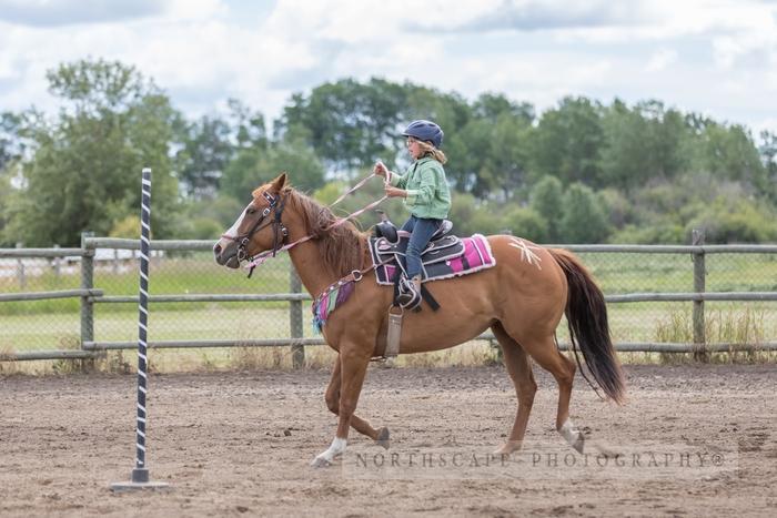 Porcupine Plain Rodeo 2017