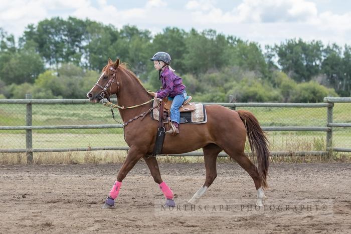 Porcupine Plain Rodeo 2017