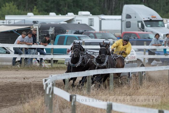 Porcupine Plain Rodeo 2017