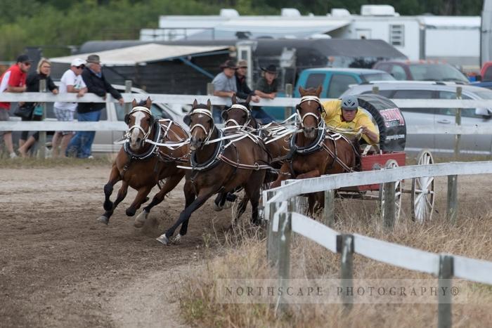 Porcupine Plain Rodeo 2017