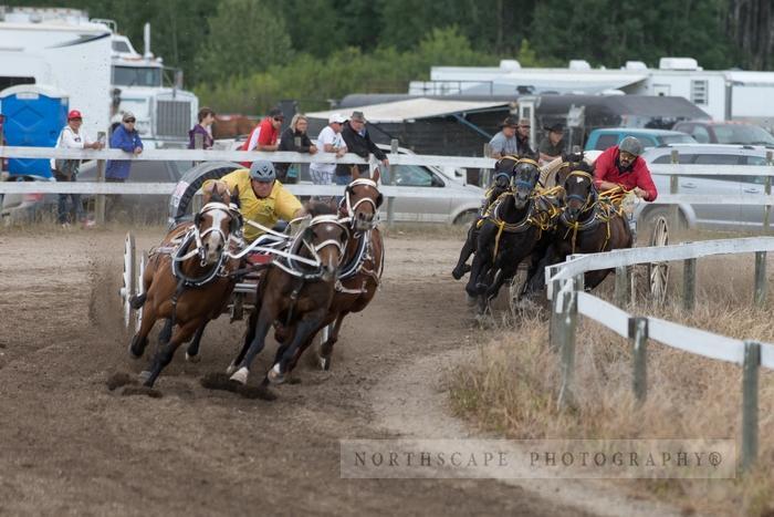 Porcupine Plain Rodeo 2017