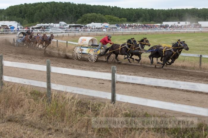 Porcupine Plain Rodeo 2017