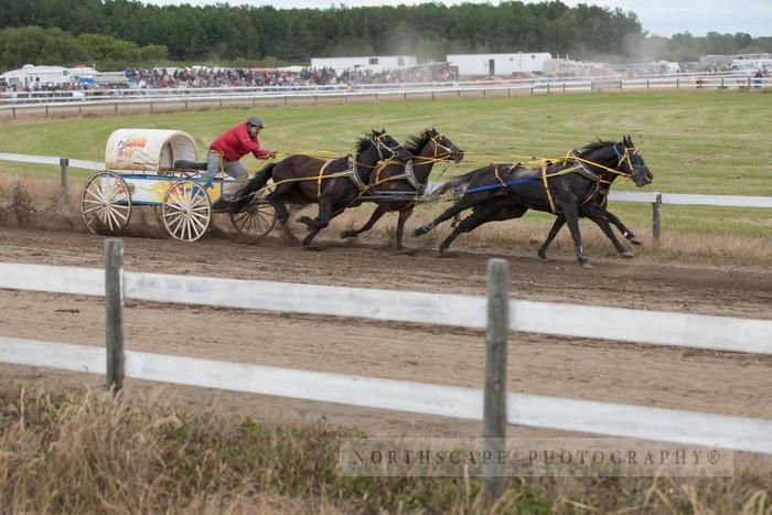 Porcupine Plain Rodeo 2017