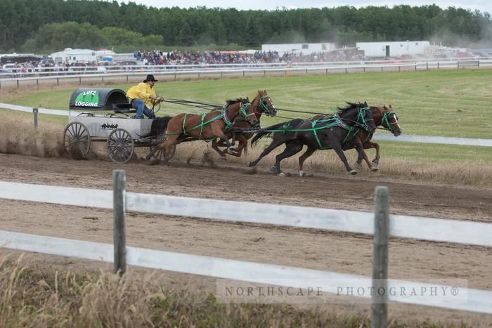 Porcupine Plain Rodeo 2017